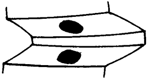 錐齒輪和準雙曲面齒輪術語加工方法、輪齒接觸、檢查和試驗